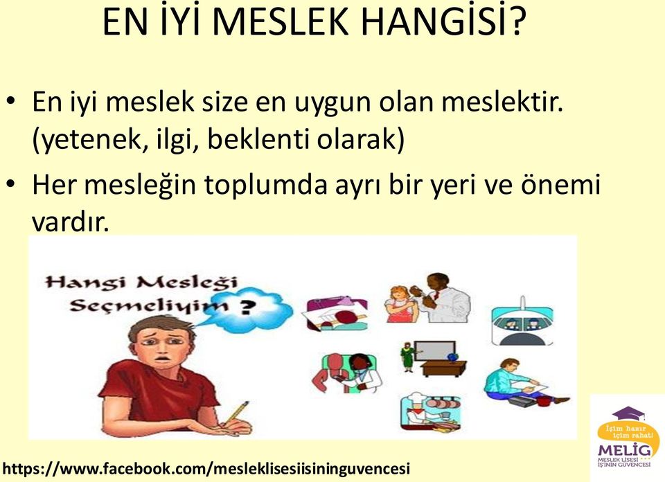 meslektir.