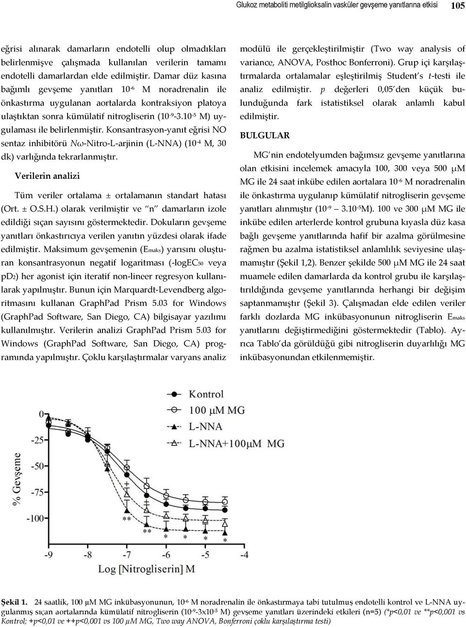 10 5 M) uygulaması ile belirlenmiştir. Konsantrasyon yanıt eğrisi NO sentaz inhibitörü Nω Nitro L arjinin (L NNA) (10 4 M, 30 dk) varlığında tekrarlanmıştır.