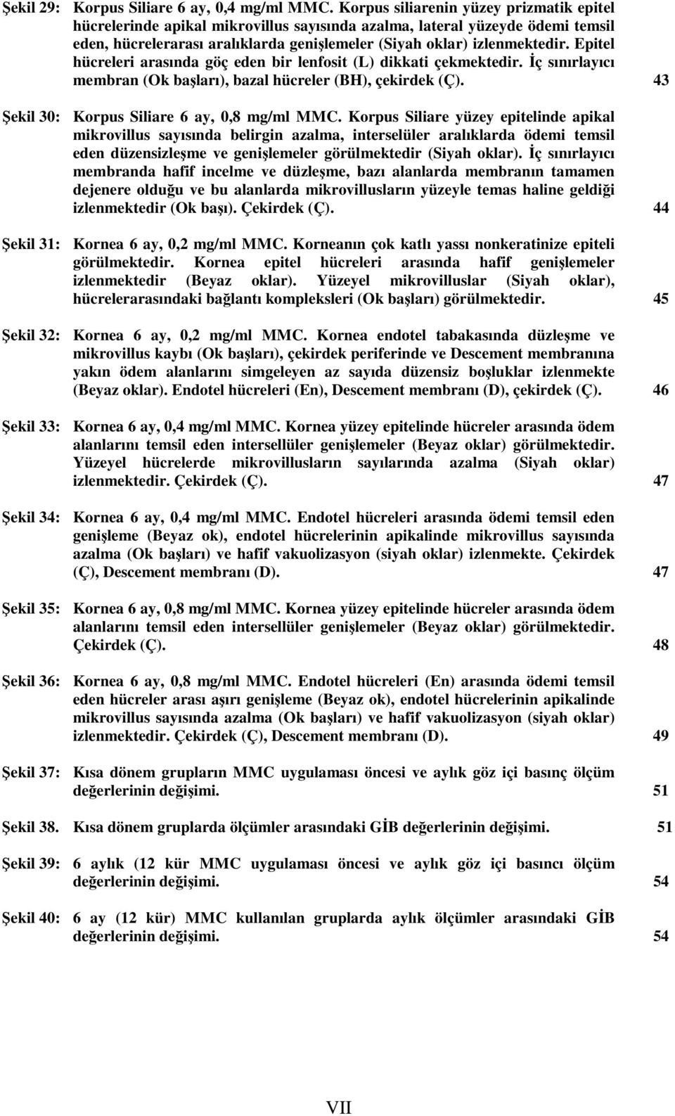 Epitel hücreleri arasında göç eden bir lenfosit (L) dikkati çekmektedir. İç sınırlayıcı membran (Ok başları), bazal hücreler (BH), çekirdek (Ç). 43 Şekil 30: Korpus Siliare 6 ay, 0,8 mg/ml MMC.