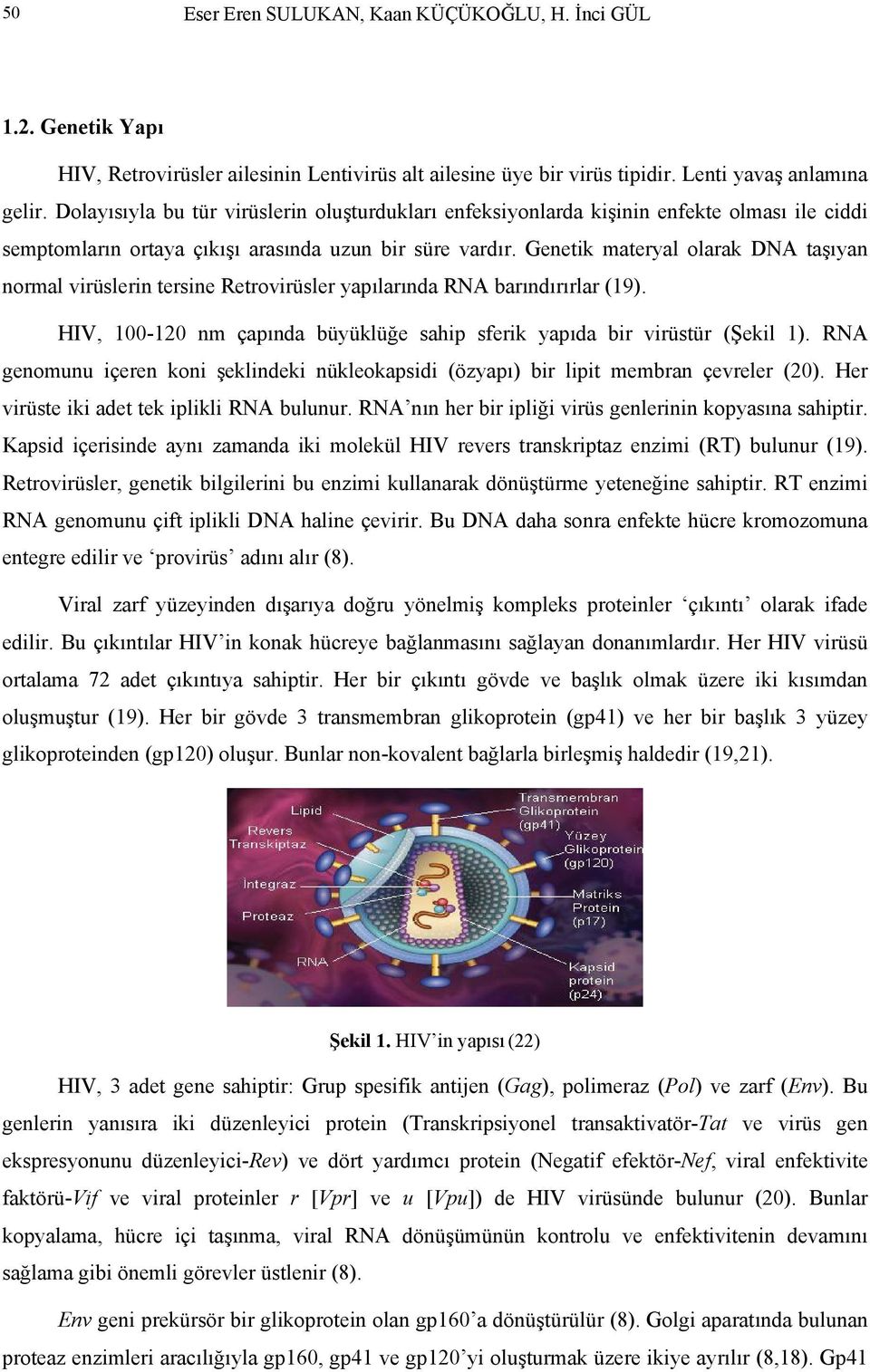 Genetik materyal olarak DA taşıyan normal virüslerin tersine Retrovirüsler yapılarında RA barındırırlar (19). HIV, 100-120 nm çapında büyüklüğe sahip sferik yapıda bir virüstür (Şekil 1).