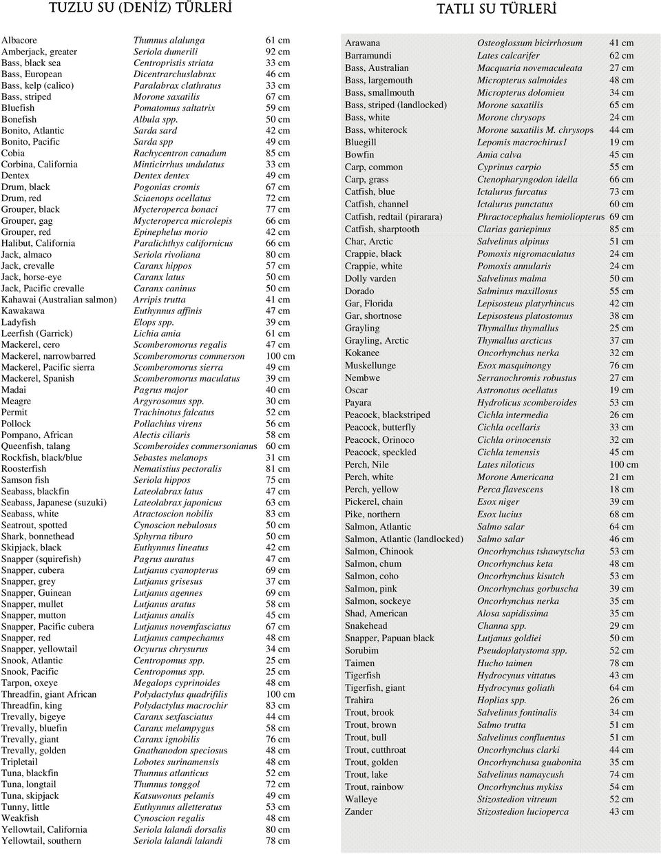50 cm Bonito, Atlantic Sarda sard 42 cm Bonito, Pacific Sarda spp 49 cm Cobia Rachycentron canadum 85 cm Corbina, California Minticirrhus undulatus 33 cm Dentex Dentex dentex 49 cm Drum, black