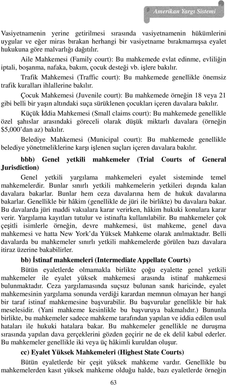 Trafik Mahkemesi (Traffic court): Bu mahkemede genellikle önemsiz trafik kuralları ihlallerine bakılır.