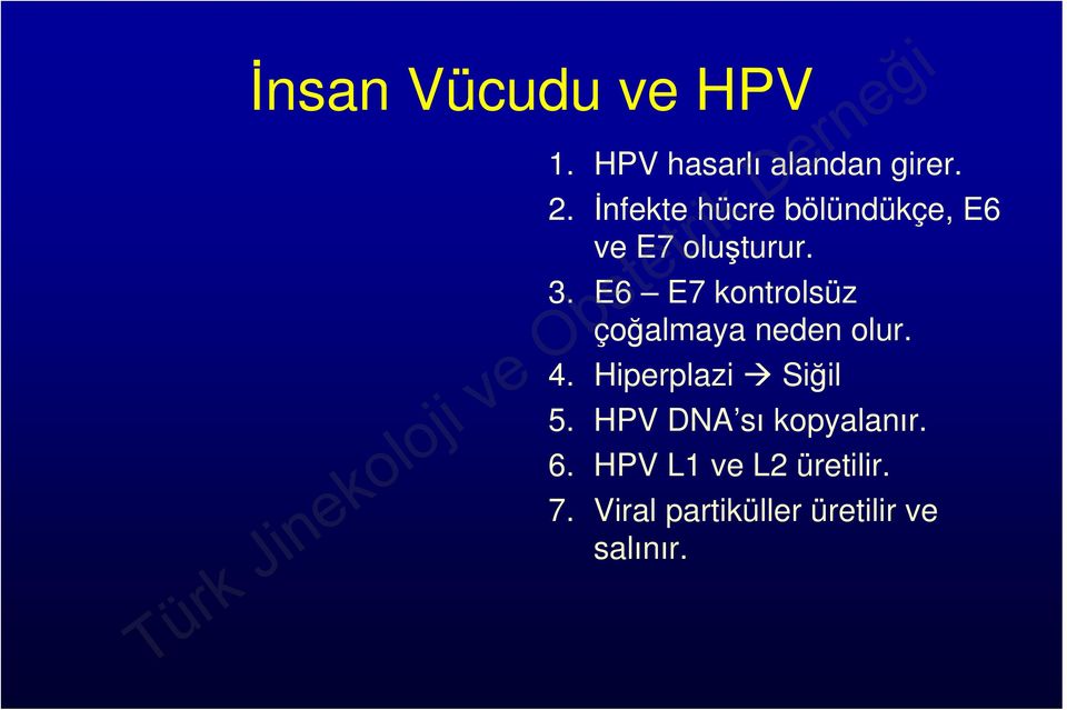 E6 E7 kontrolsüz çoğalmaya neden olur. 4. Hiperplazi Siğil 5.