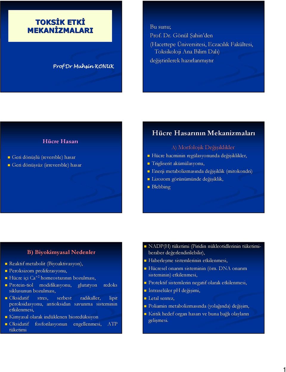 (irreversble( irreversble) ) hasar Hücre Hasarının n Mekanizmaları A) Morfolojik Değişiklikler iklikler Hücre hacminin regülasyonunda değişiklikler, iklikler, Trigliserit akümülasyonu lasyonu, Enerji