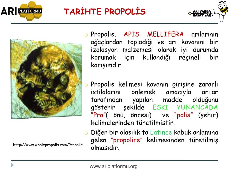 com/propolis o Propolis kelimesi kovanın girişine zararlı istilalarını önlemek amacıyla arılar tarafından yapılan madde olduğunu