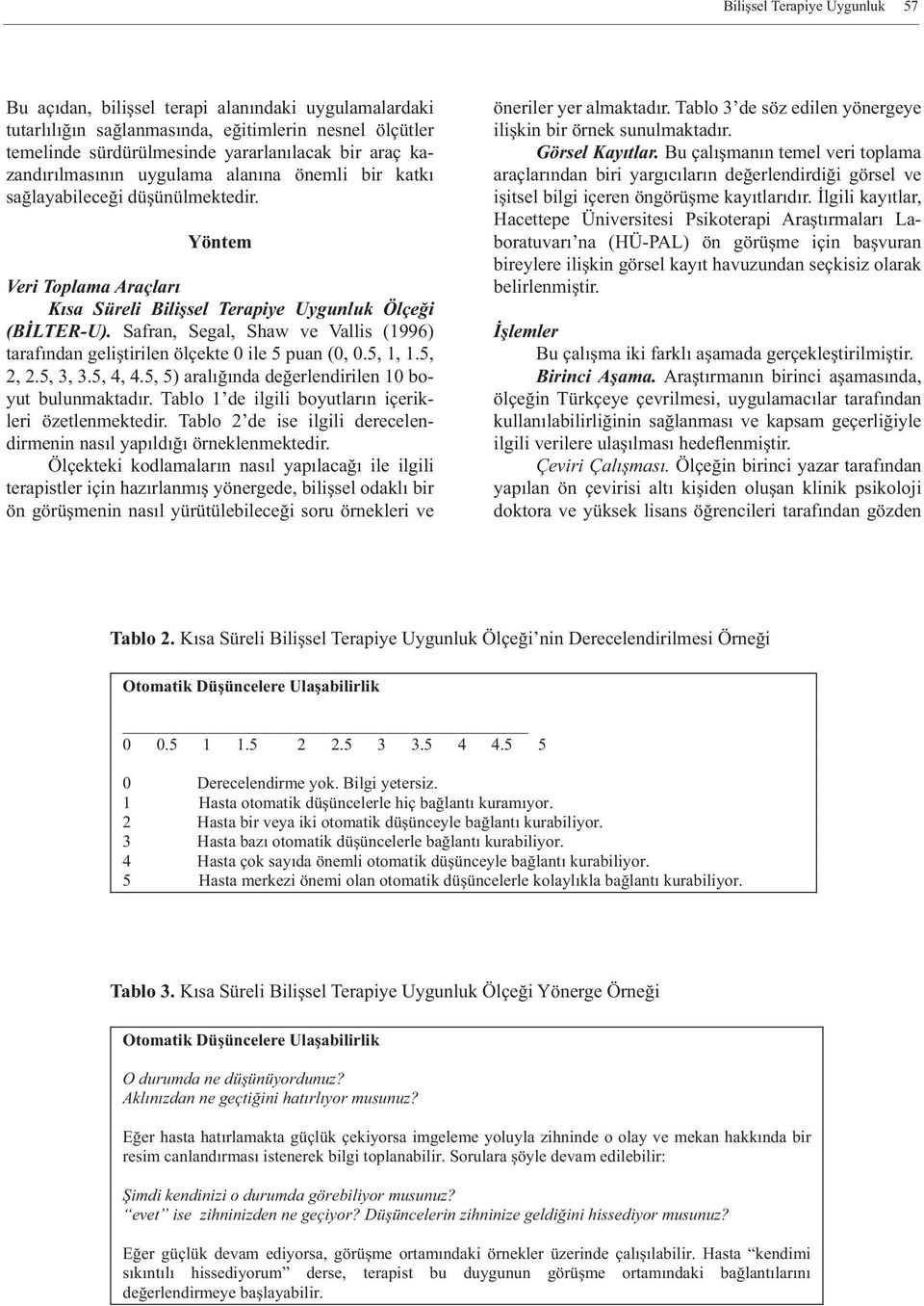 Safran, Segal, Shaw ve Vallis (1996) tarafından geliştirilen ölçekte 0 ile 5 puan (0, 0.5, 1, 1.5, 2, 2.5, 3, 3.5, 4, 4.5, 5) aralığında değerlendirilen 10 boyut bulunmaktadır.