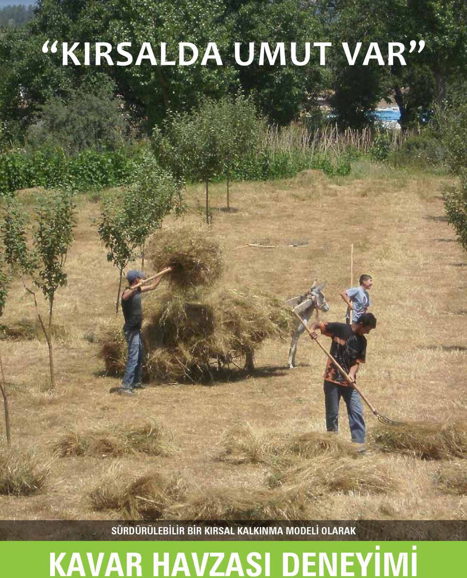 KALKINMA MODELİ