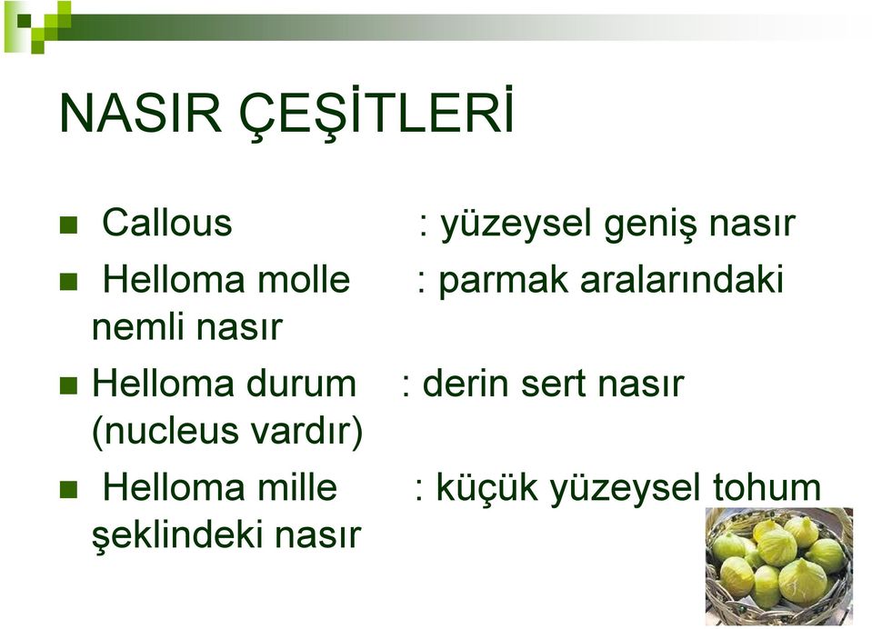 şeklindeki nasır : yüzeysel geniş nasır : parmak