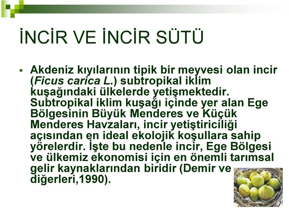 Subtropikal iklim kuşağı içinde yer alan Ege Bölgesinin Büyük Menderes ve Küçük Menderes Havzaları, incir