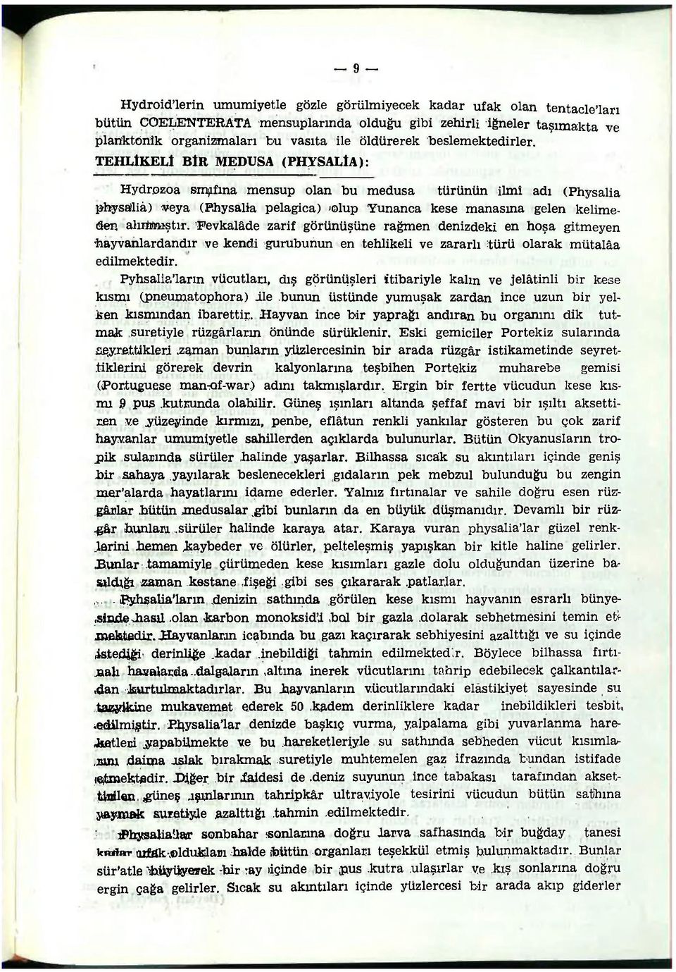 TEHLİKELİ BİR MEDUSA (PHYSALİA): Hydrozoa sınıfına mensup olan bu medusa türünün ilmî adı (Physalia physailiâ) veya (Physalia pelagica) <olup Yunanca kese manasına gelen kelimeden alırtmıştır.