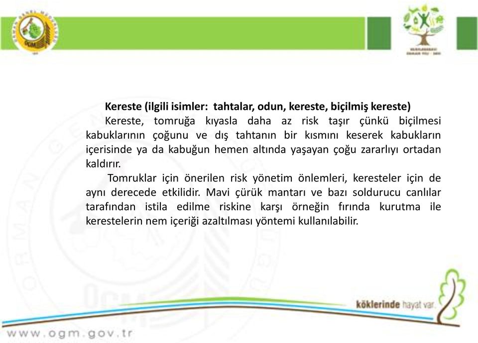 ortadan kaldırır. Tomruklar için önerilen risk yönetim önlemleri, keresteler için de aynı derecede etkilidir.