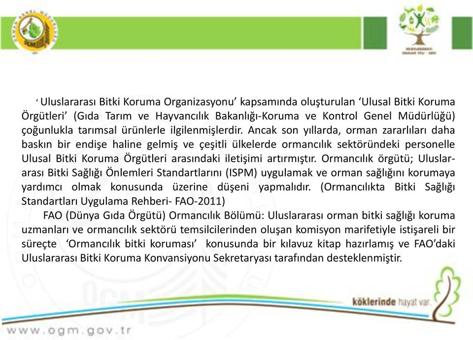 Ancak son yıllarda, orman zararlıları daha baskın bir endişe haline gelmiş ve çeşitli ülkelerde ormancılık sektöründeki personelle Ulusal Bitki Koruma Örgütleri arasındaki iletişimi artırmıştır.