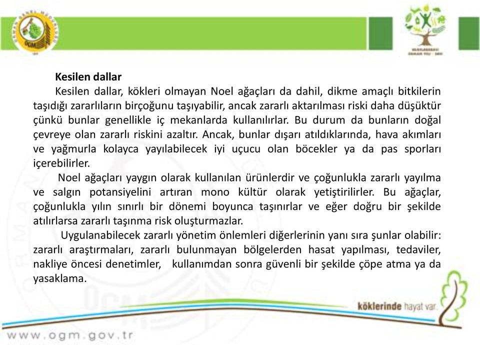 Ancak, bunlar dışarı atıldıklarında, hava akımları ve yağmurla kolayca yayılabilecek iyi uçucu olan böcekler ya da pas sporları içerebilirler.