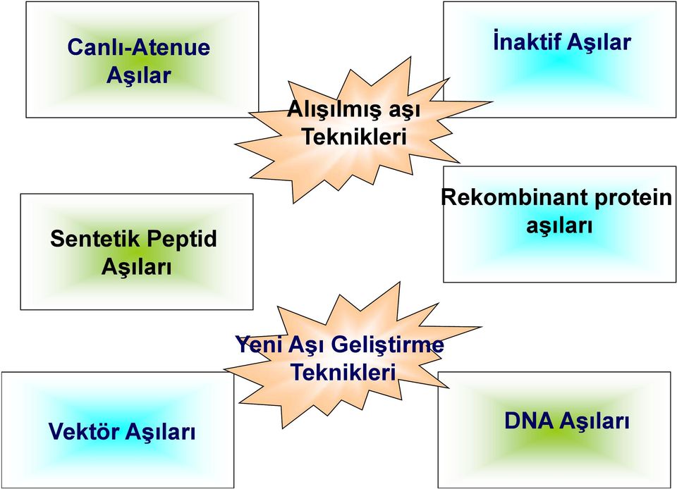 Aşılar Rekombinant protein aşıları Yeni