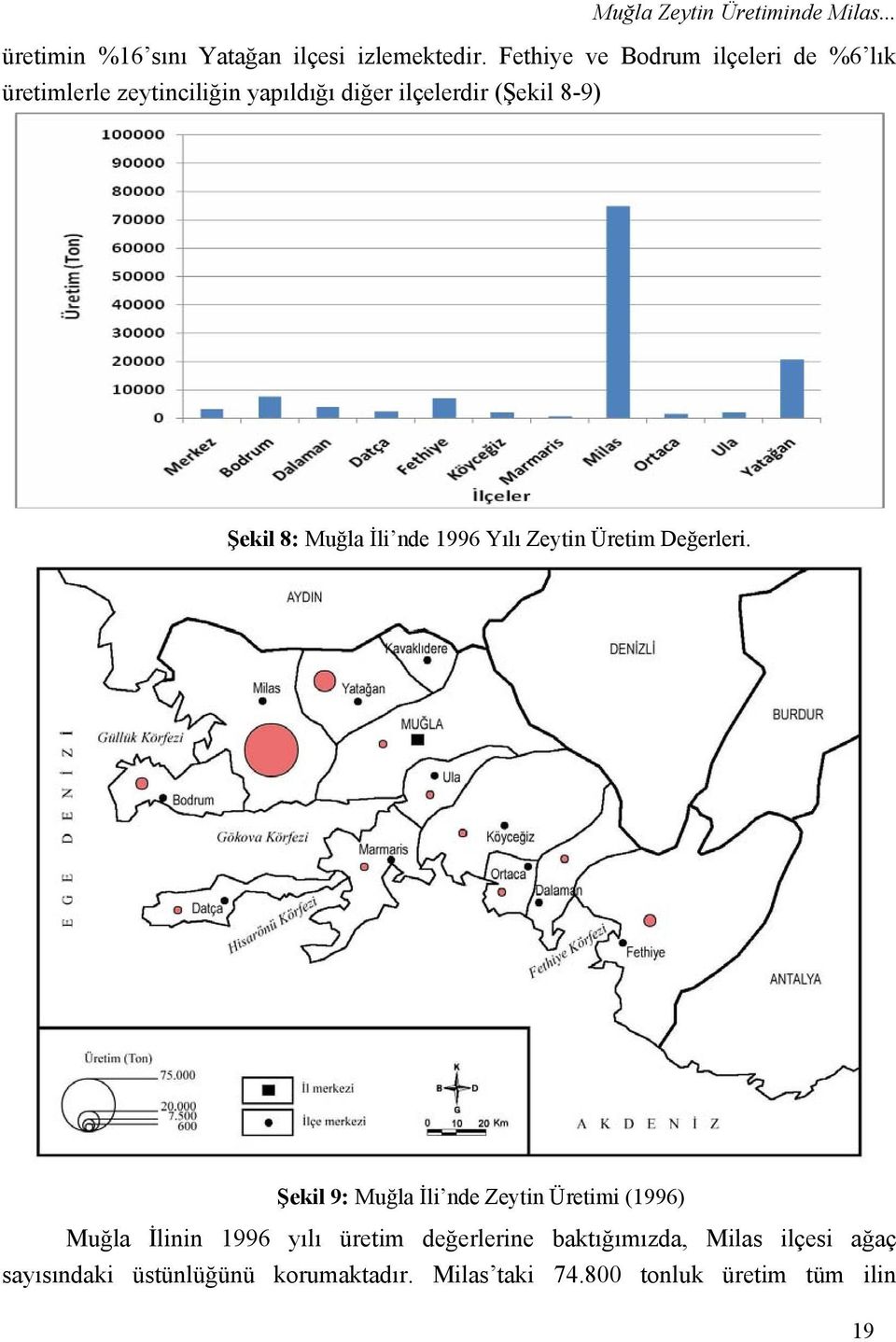 8: Muğla İli nde 1996 Yılı Zeytin Üretim Değerleri.