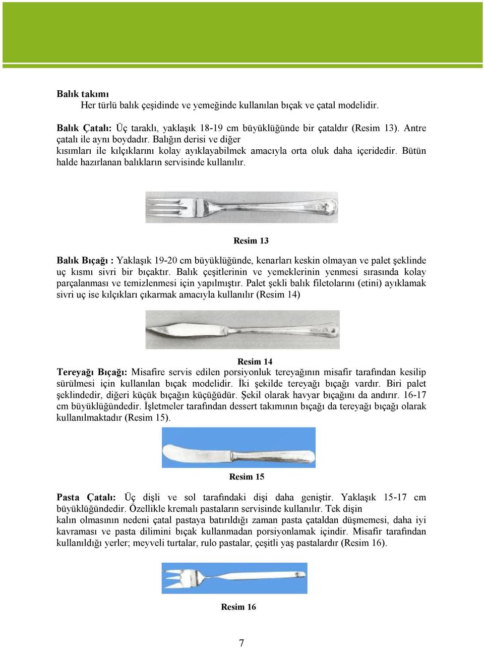 Resim 13 Balık Bıçağı : Yaklaşık 19-20 cm büyüklüğünde, kenarları keskin olmayan ve palet şeklinde uç kısmı sivri bir bıçaktır.