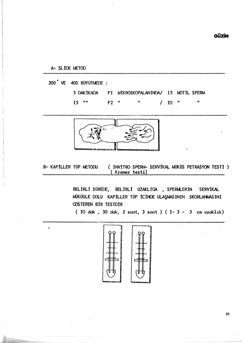 testi) BELiRLİ SUREDE, BELlRLl UZAKLIGA, SPERM..ERİN SERVtKAL MUKOSLE COL.
