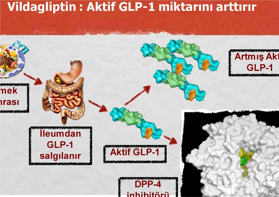 GLP-1 ek rası İleumdan GLP-1