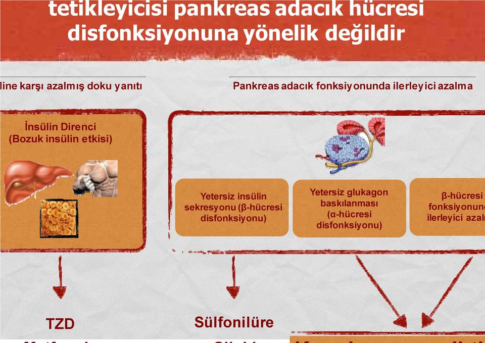 insülin etkisi) Yetersiz nsülin sekresyonu (β-hücresi disfonksiyonu) Yetersiz glukagon