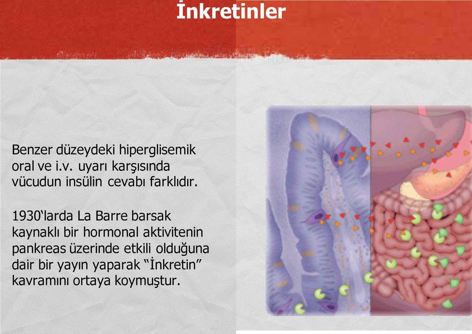 1930 larda La Barre barsak kaynaklı bir hormonal aktivitenin