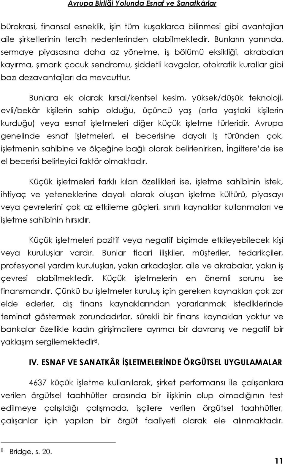 Bunlara ek olarak kırsal/kentsel kesim, yüksek/düşük teknoloji, evli/bekâr kişilerin sahip olduğu, üçüncü yaş (orta yaştaki kişilerin kurduğu) veya esnaf işletmeleri diğer küçük işletme türleridir.