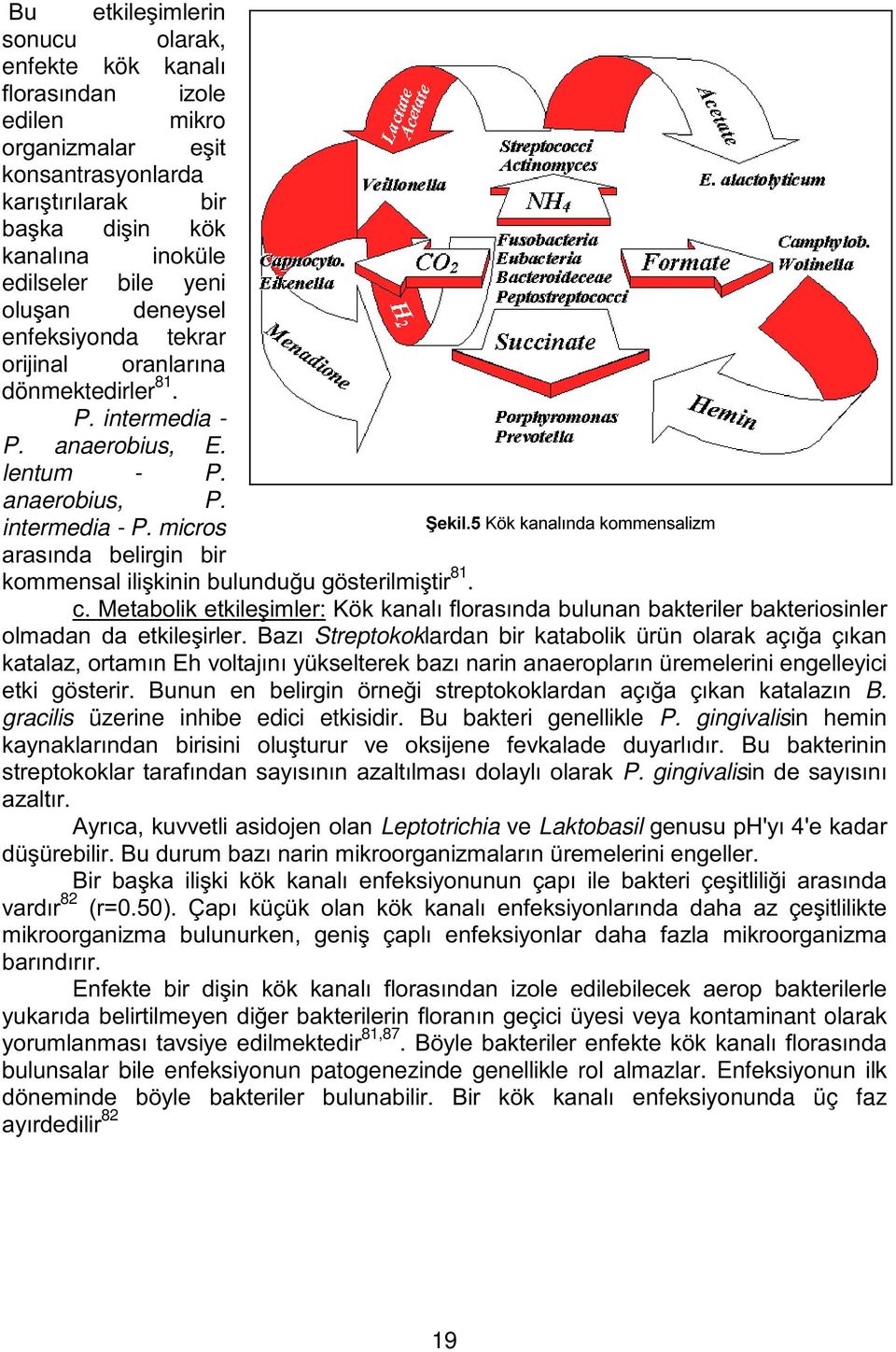 NNDQDOÕQGDNRPPHQVDOL]P DUDVÕQGD EHOLUJLQ ELU NRPPHQVDOLOLúNLQLQEXOXQGX XJ VWHULOPLúWLU 81. F0HWDEROLNHWNLOHúLPOHU.