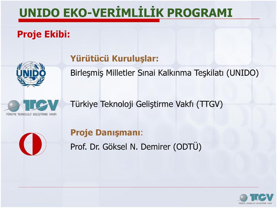 Teşkilatı (UNIDO) Türkiye Teknoloji Geliştirme Vakfı
