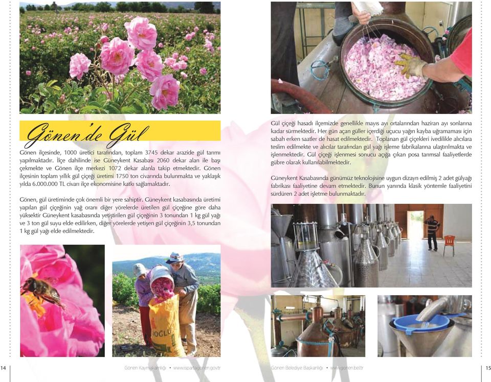 Gönen ilçesinin toplam yıllık gül çiçeği üretimi 1750 ton civarında bulunmakta ve yaklaşık yılda 6.000.000 TL civarı ilçe ekonomisine katkı sağlamaktadır.