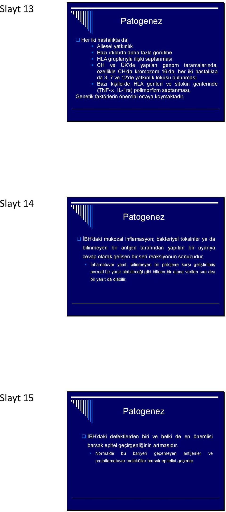 Slayt 14 Patogenez İBH'daki mukozal inflamasyon; bakteriyel toksinler ya da bilinmeyen bir antijen tarafından yapılan bir uyarıya cevap olarak gelişen bir seri reaksiyonun sonucudur.