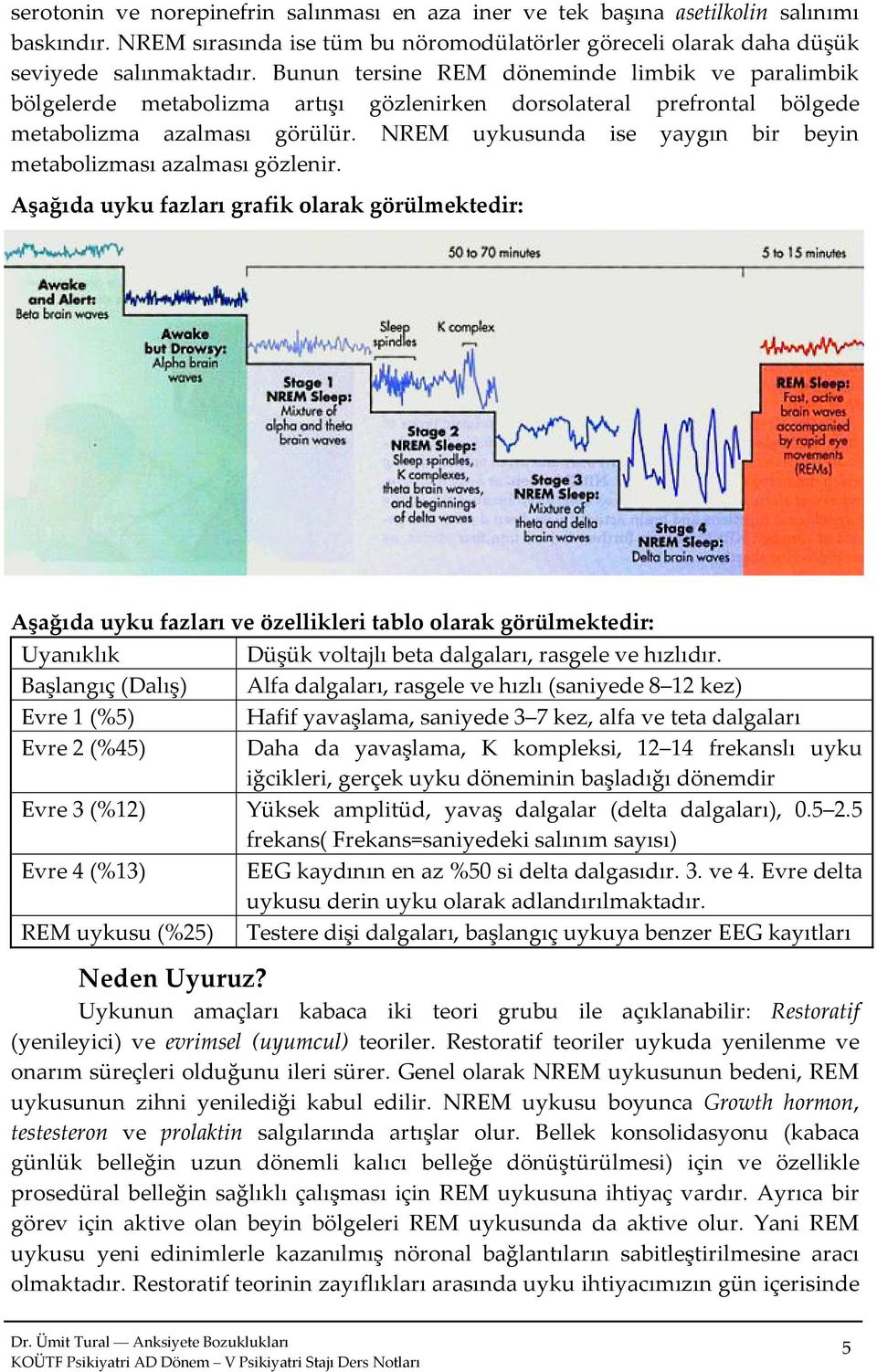 NREM uykusunda ise yaygın bir beyin metabolizması azalması gözlenir.