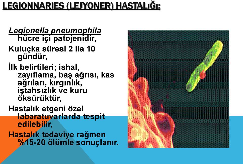 kas ağrıları, kırgınlık, iştahsızlık ve kuru öksürüktür, Hastalık etgeni özel