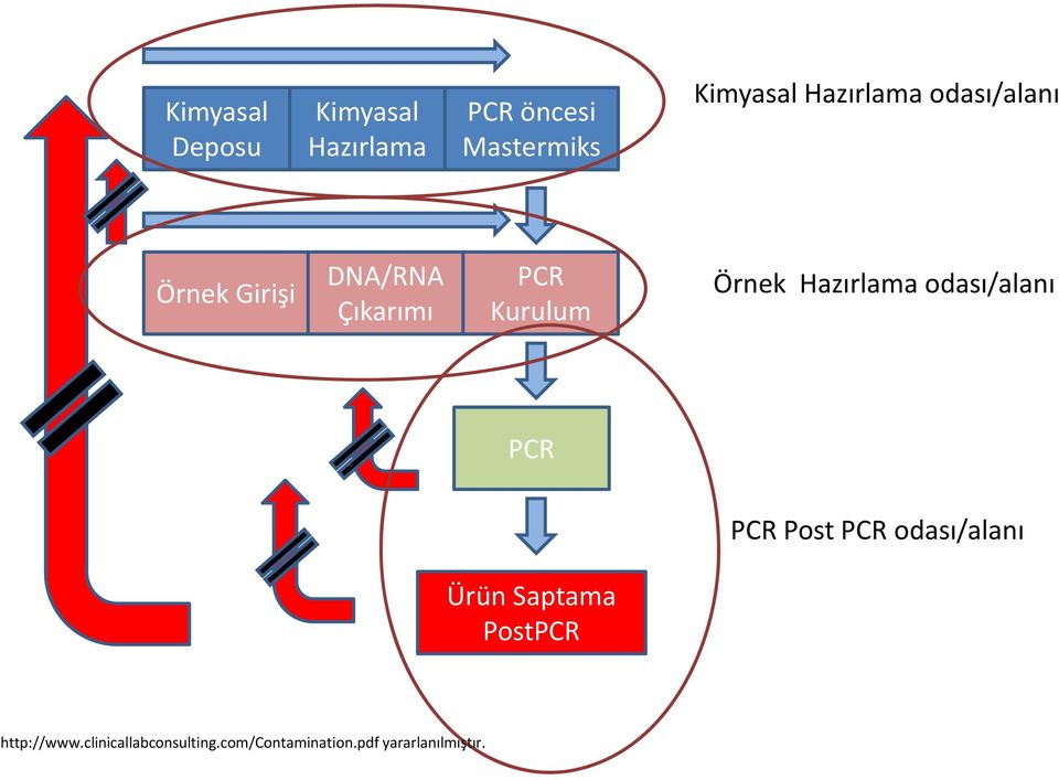 Hazırlama odası/alanı PCR PCR Post PCR odası/alanı Ürün Saptama