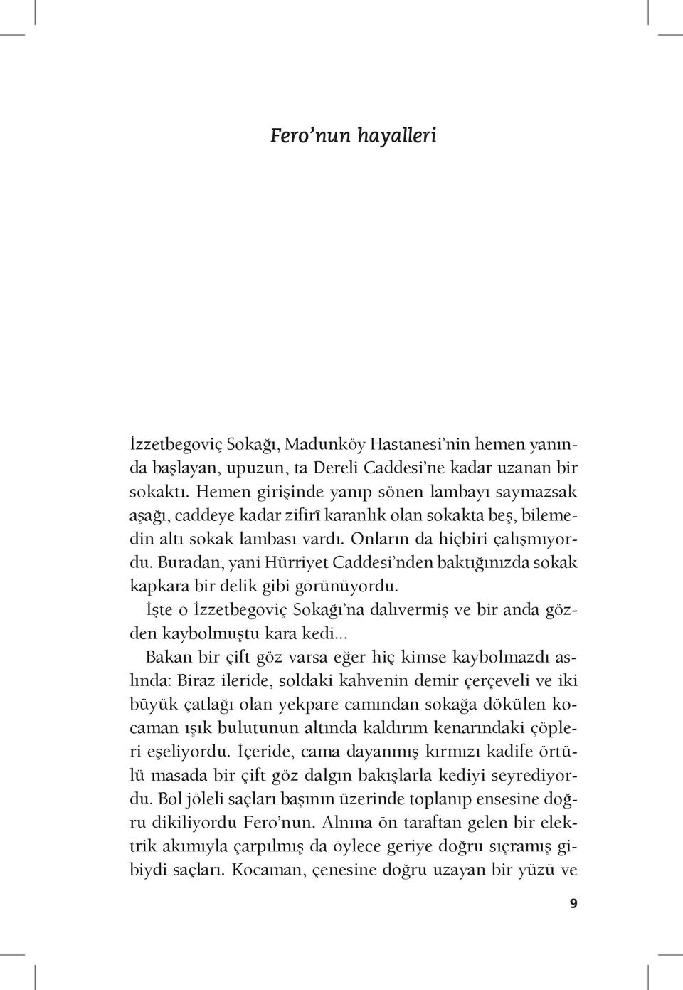 Buradan, yani Hürriyet Caddesi nden baktığınızda sokak kapkara bir delik gibi görünüyordu. İşte o İzzetbegoviç Sokağı na dalıvermiş ve bir anda gözden kaybolmuştu kara kedi.