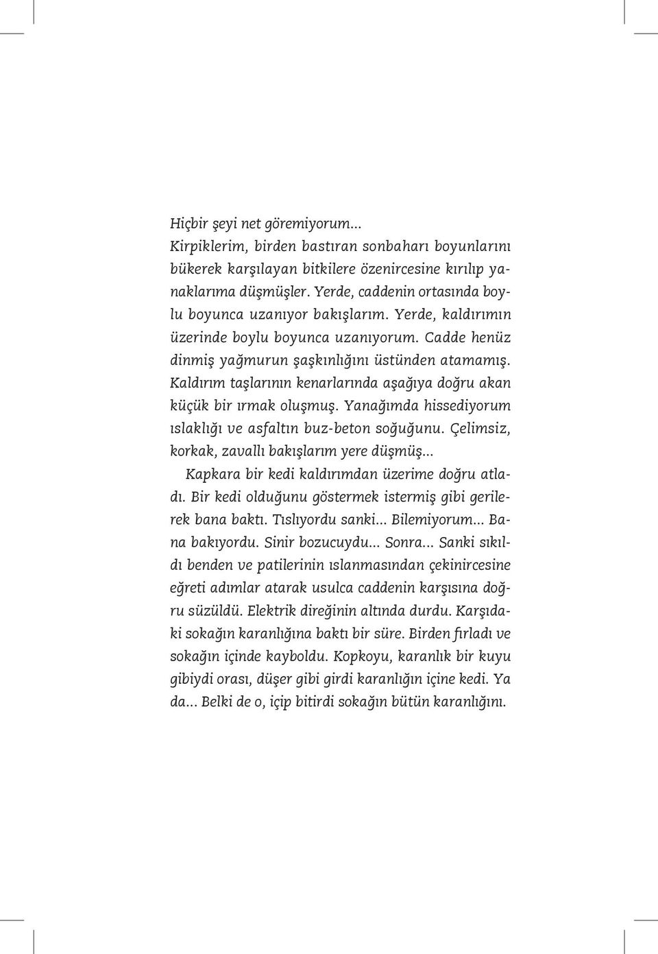 Kaldırım taşlarının kenarlarında aşağıya doğru akan küçük bir ırmak oluşmuş. Yanağımda hissediyorum ıslaklığı ve asfaltın buz-beton soğuğunu. Çelimsiz, korkak, zavallı bakışlarım yere düşmüş.