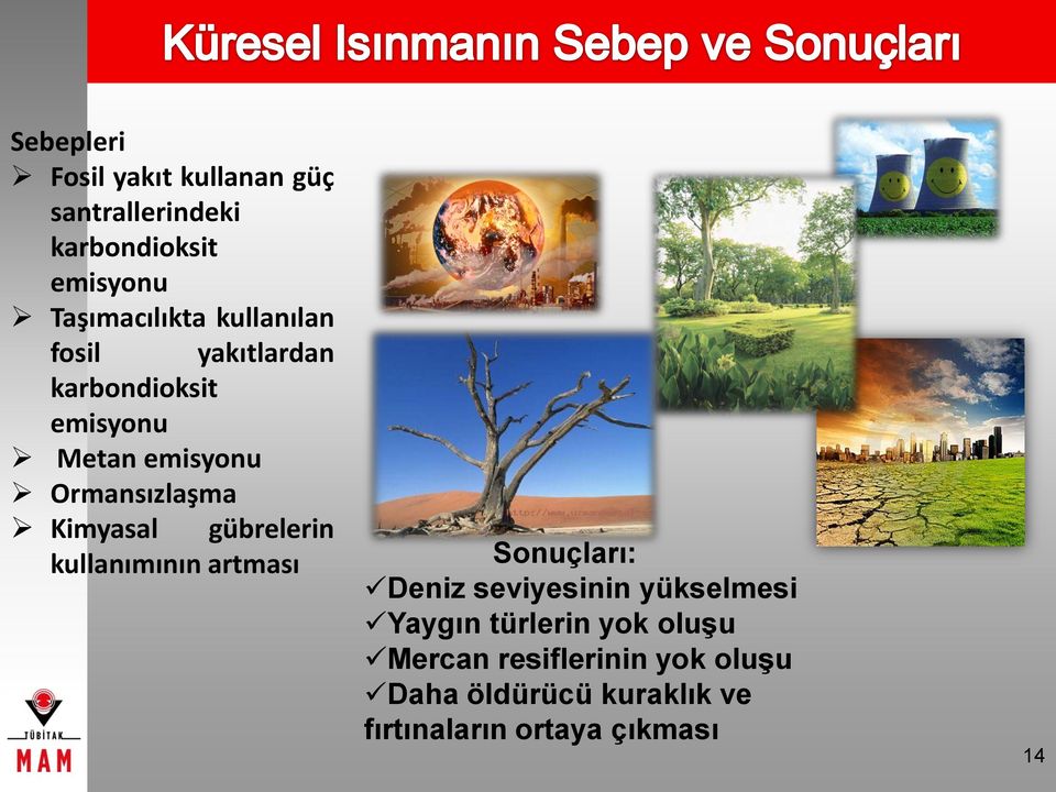 gübrelerin kullanımının artması Sonuçları: Deniz seviyesinin yükselmesi Yaygın türlerin