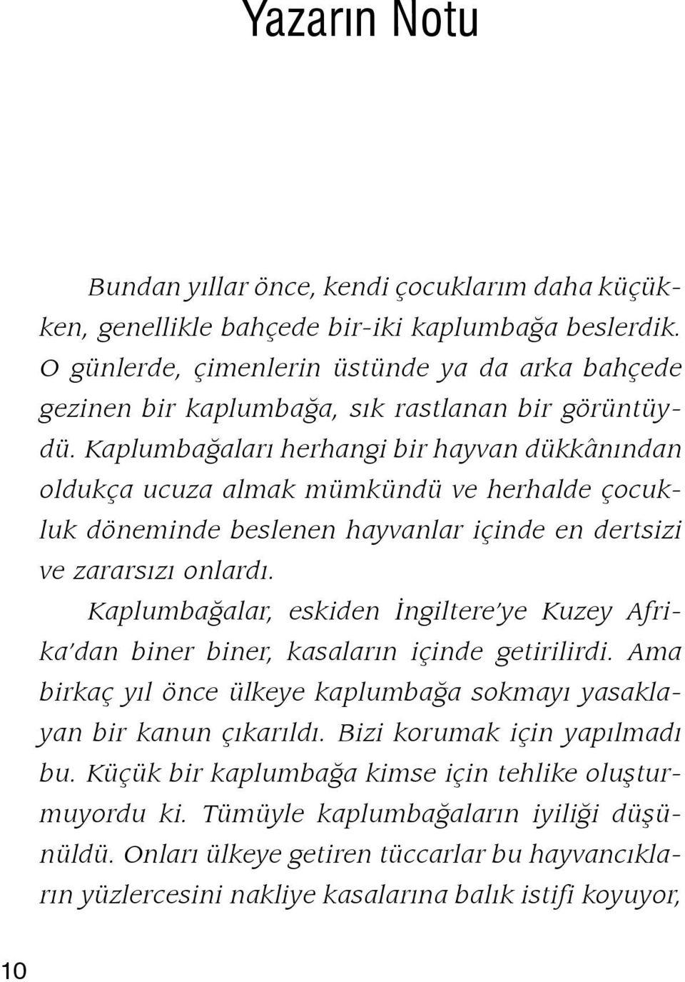 Kaplumbağaları herhangi bir hayvan dükkânından oldukça ucuza almak mümkündü ve herhalde çocukluk döneminde beslenen hayvanlar içinde en dertsizi ve zararsızı onlardı.