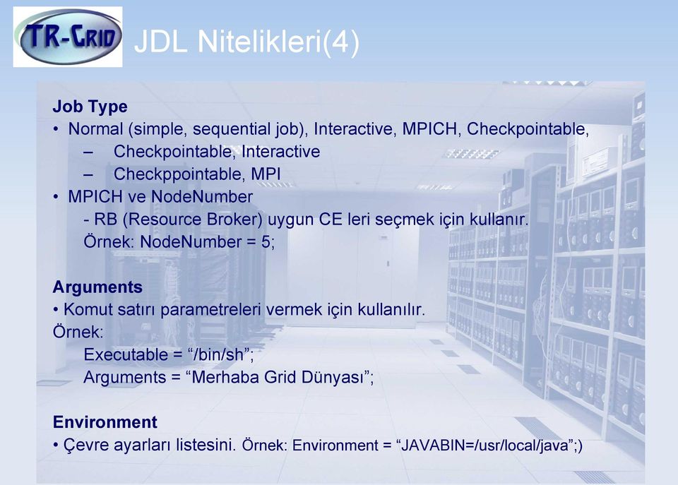 Örnek: NodeNumber = 5; Arguments Komut satırı parametreleri vermek için kullanılır.