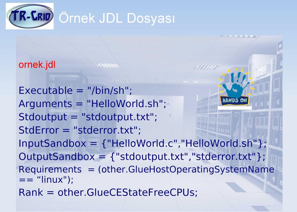 txt"; InputSandbox = {"HelloWorld.c","HelloWorld.sh"}; OutputSandbox = {"stdoutput.