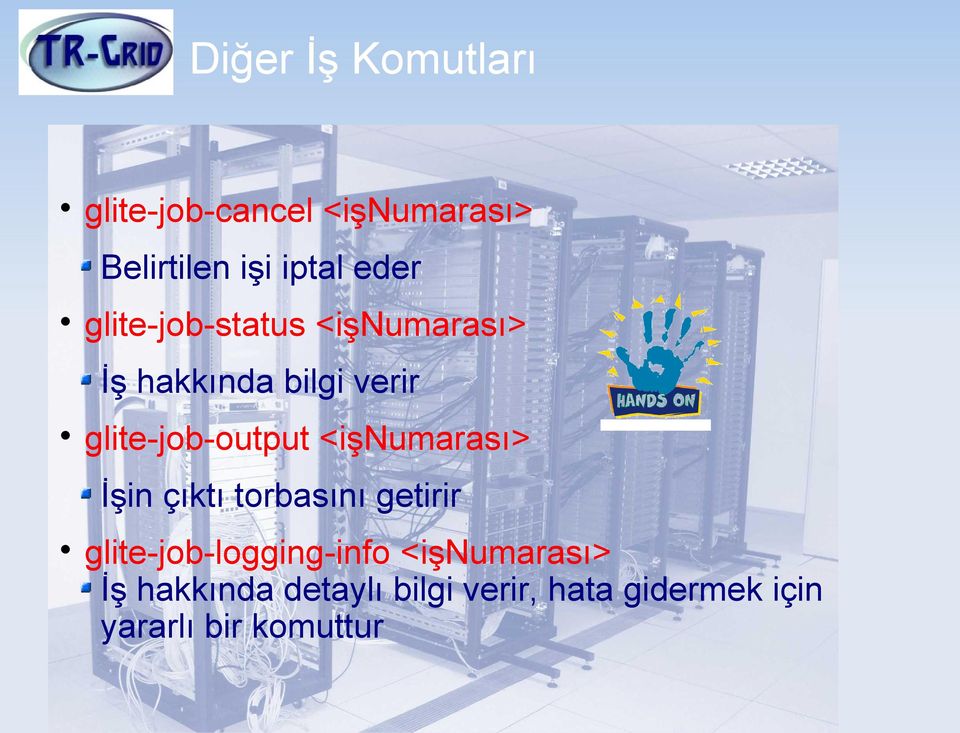 glite-job-output <işnumarası> İşin çıktı torbasını getirir