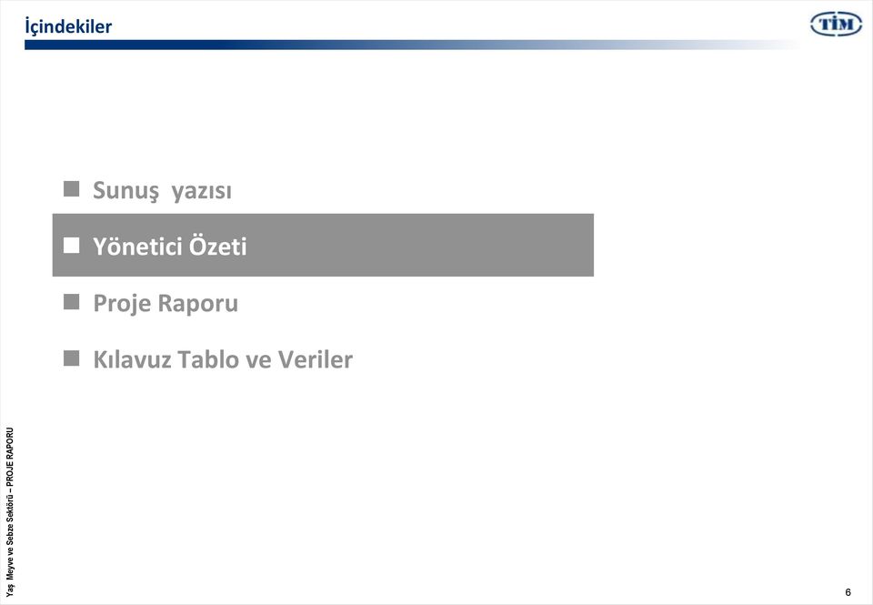 Özeti Proje Raporu