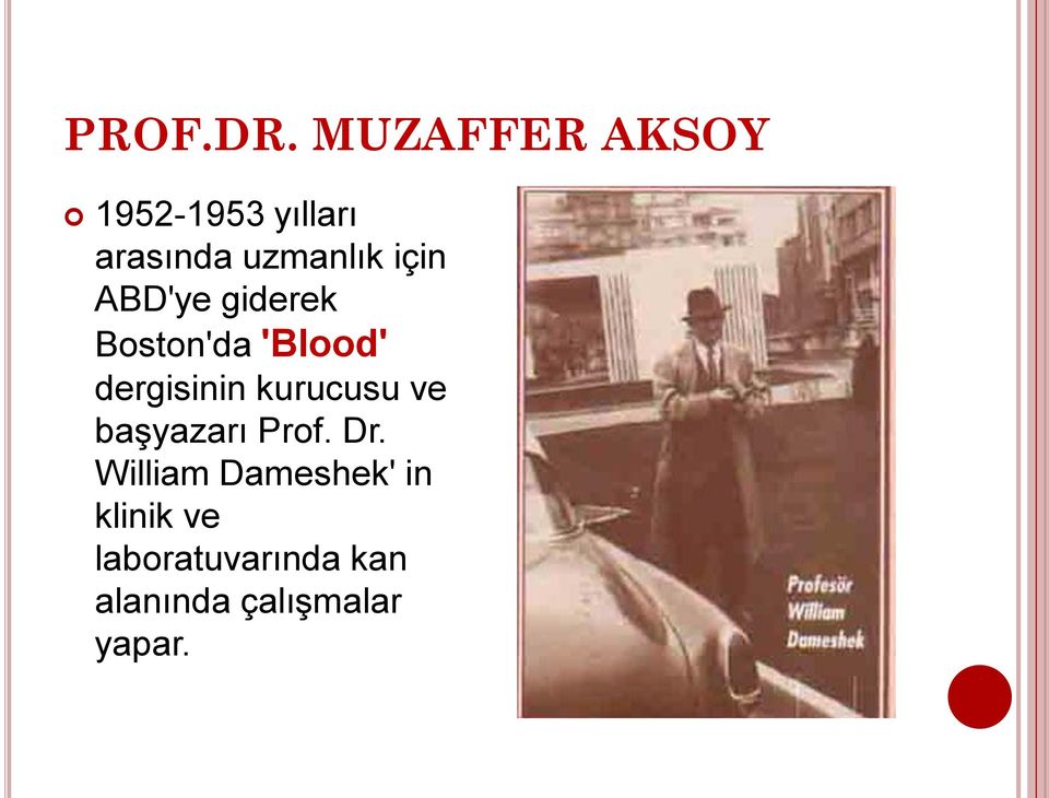 başyazarı Prof. Dr.