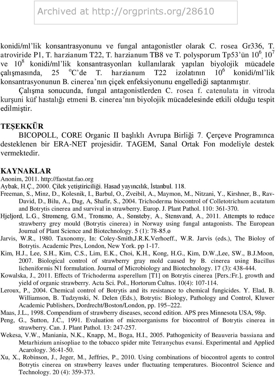 harzianum T22 izolatının 10 6 konidi/ml lik konsantrasyonunun B. cinerea nın çiçek enfeksiyonunu engellediği saptanmıştır. Çalışma sonucunda, fungal antagonistlerden C. rosea f.