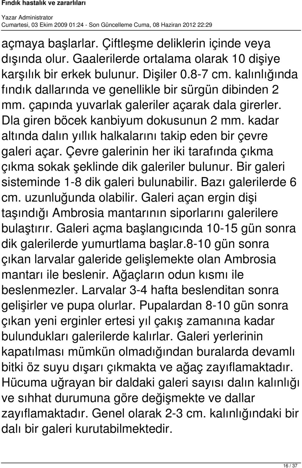 kadar altında dalın yıllık halkalarını takip eden bir çevre galeri açar. Çevre galerinin her iki tarafında çıkma çıkma sokak şeklinde dik galeriler bulunur.