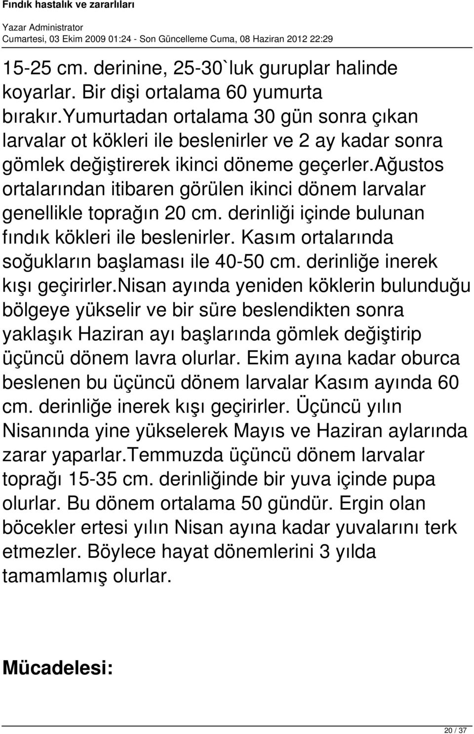 ağustos ortalarından itibaren görülen ikinci dönem larvalar genellikle toprağın 20 cm. derinliği içinde bulunan fındık kökleri ile beslenirler. Kasım ortalarında soğukların başlaması ile 40-50 cm.