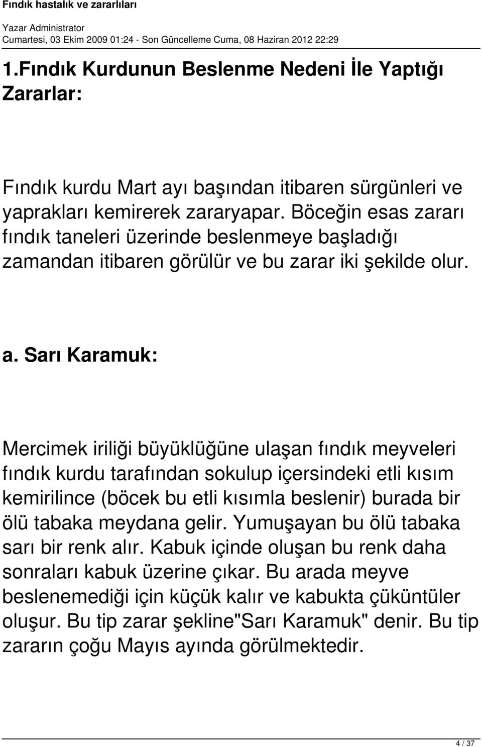 Sarı Karamuk: Mercimek iriliği büyüklüğüne ulaşan fındık meyveleri fındık kurdu tarafından sokulup içersindeki etli kısım kemirilince (böcek bu etli kısımla beslenir) burada bir ölü