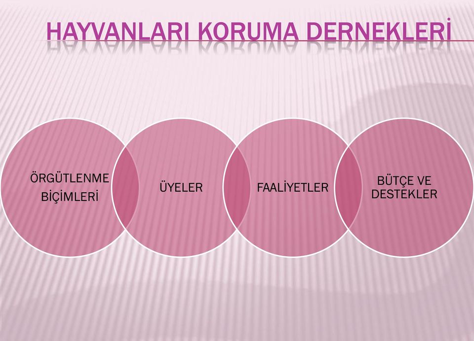 BİÇİMLERİ ÜYELER