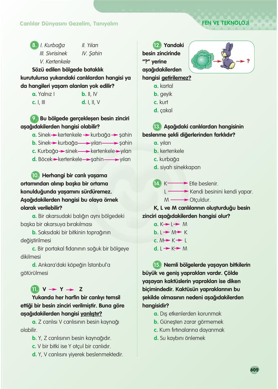 Bu bölgede gerçekleflen besin zinciri afla dakilerden hangisi olabilir? a. Sinek kertenkele kurba a flahin b. Sinek kurba a y lan flahin c. Kurba a sinek kertenkele y lan d.