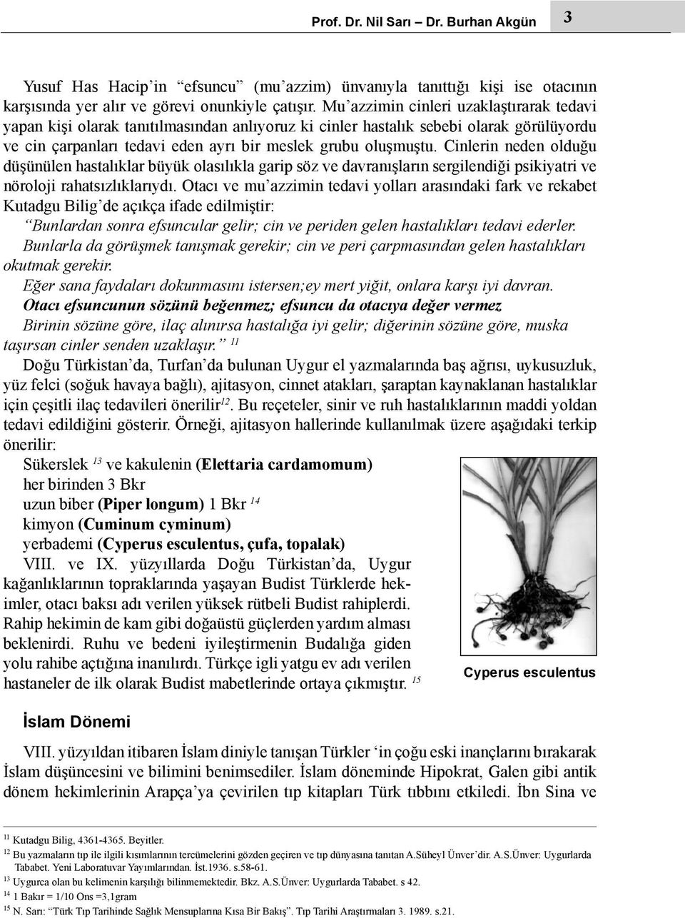 Cinlerin neden olduğu düşünülen hastalıklar büyük olasılıkla garip söz ve davranışların sergilendiği psikiyatri ve nöroloji rahatsızlıklarıydı.