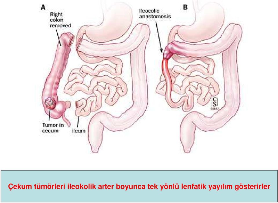 boyunca tek yönlü