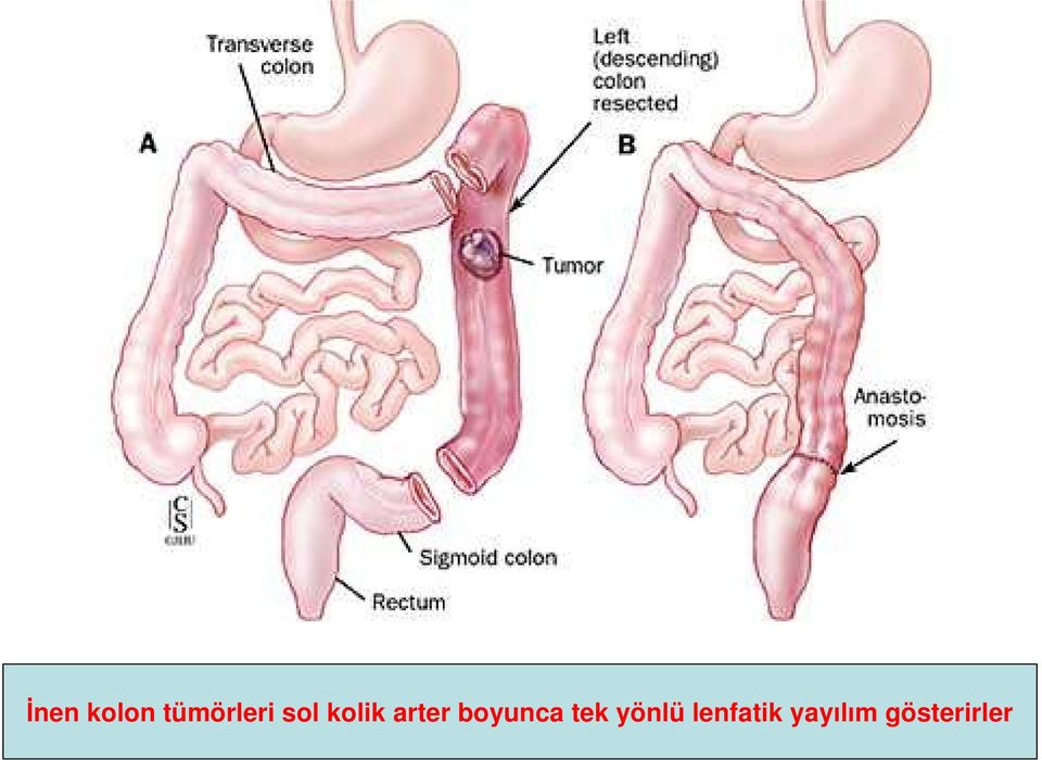 boyunca tek yönlü